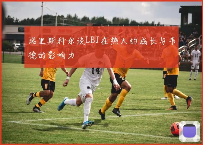 诺里斯科尔谈LBJ在热火的成长与韦德的影响力