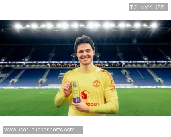 深度剖析拉门斯的门将之路：无可挑剔的表现与稳定性分析